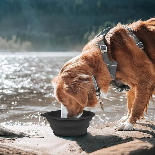 1500 ML Collapsible Dog Bowl - Sturdy Reinforced Rim - Collapsible Dog Bowl - Portable Dog Accessories and Travel Dog Bowl - Collapsible Water Bowl for Dogs